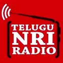 NRI Telugu