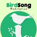 Birdsong and Meditation Radio