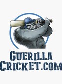 Guerrilla Cricket