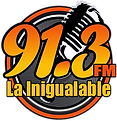 La Inigualable - 91.3 FM - XHPAMM-FM - Amatepec, Estado de México